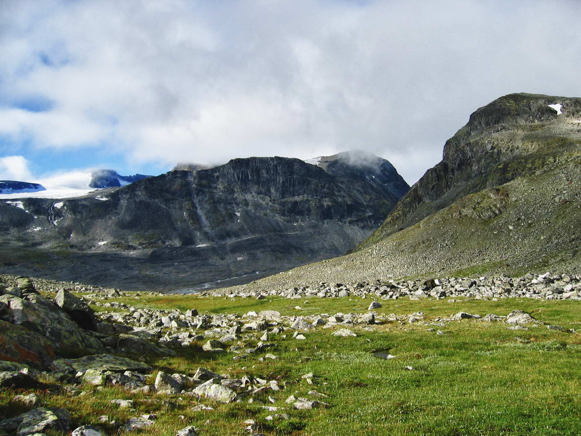 Veobreen
